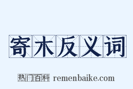 寄木反义词是什么意思的图片